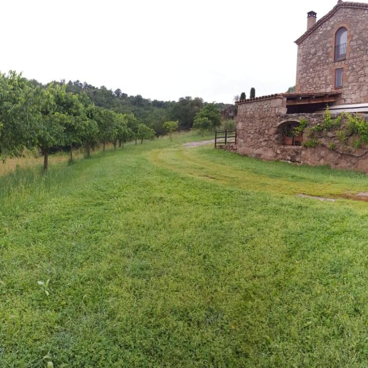 Pensjonat Casa Cabots Olvan Zewnętrze zdjęcie